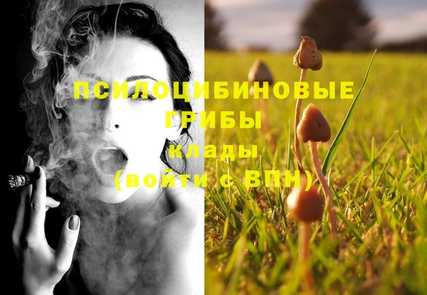 ПСИЛОЦИБИНОВЫЕ ГРИБЫ Кинешма