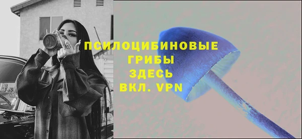 ПСИЛОЦИБИНОВЫЕ ГРИБЫ Кинешма