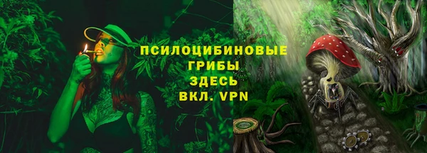 ПСИЛОЦИБИНОВЫЕ ГРИБЫ Кинешма