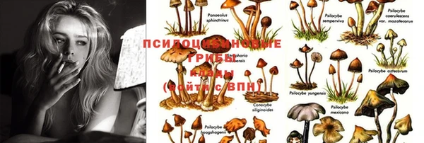 прущая мука Киренск