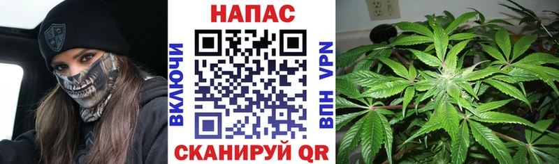 Купить  Дубна  Шишки марихуана VHQ 